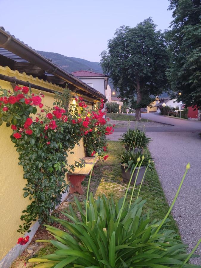 Pension & Ferienwohnung Dullnig Gmünd Buitenkant foto