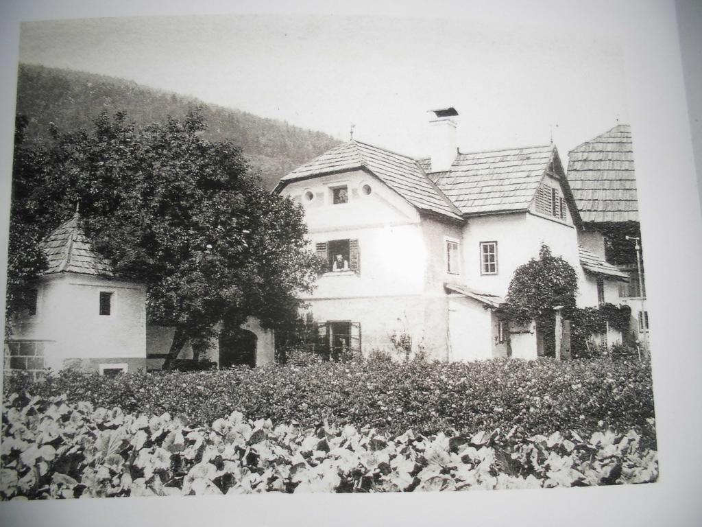 Pension & Ferienwohnung Dullnig Gmünd Buitenkant foto